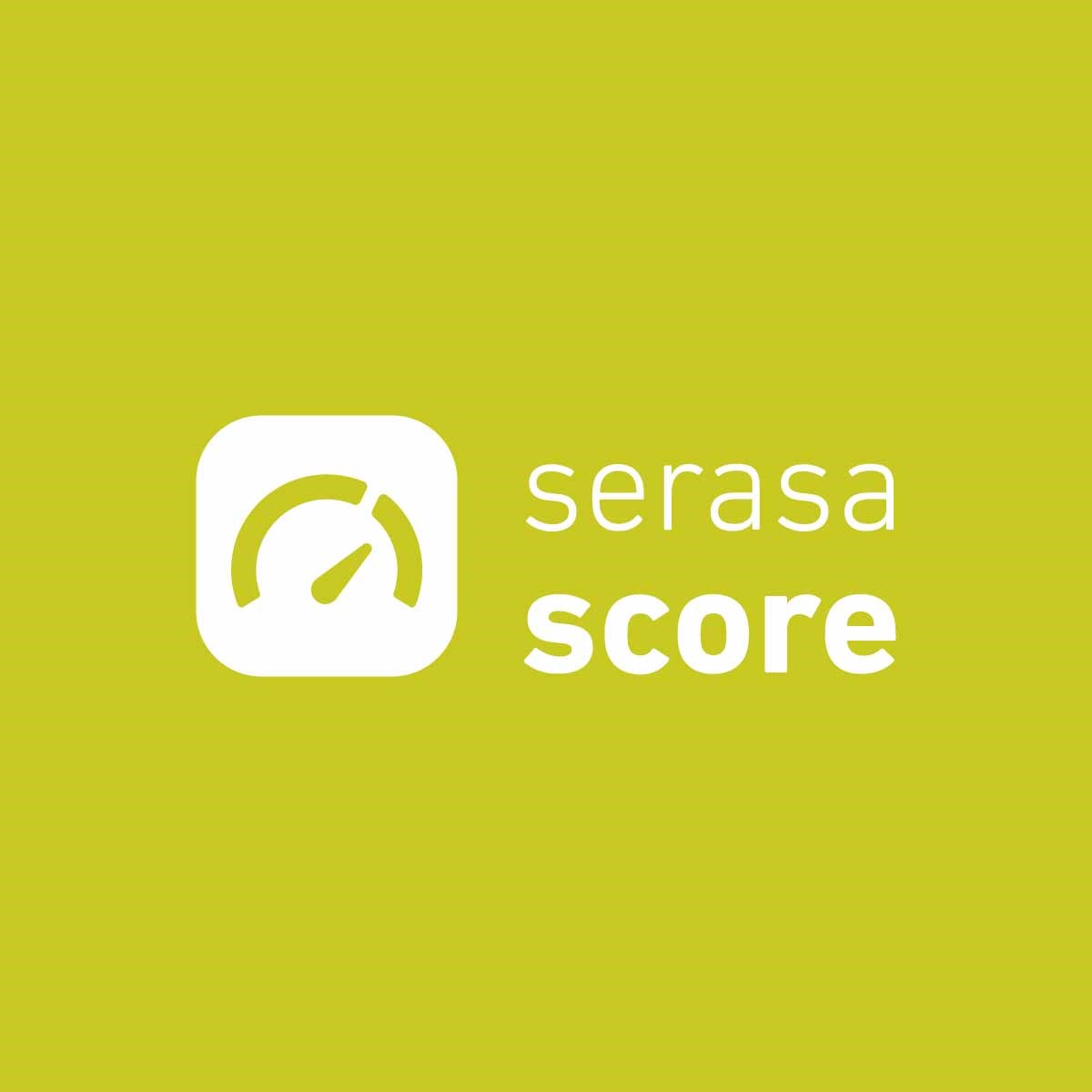 Serasa Score Como Obter Crédito Fácil O Insider 5745